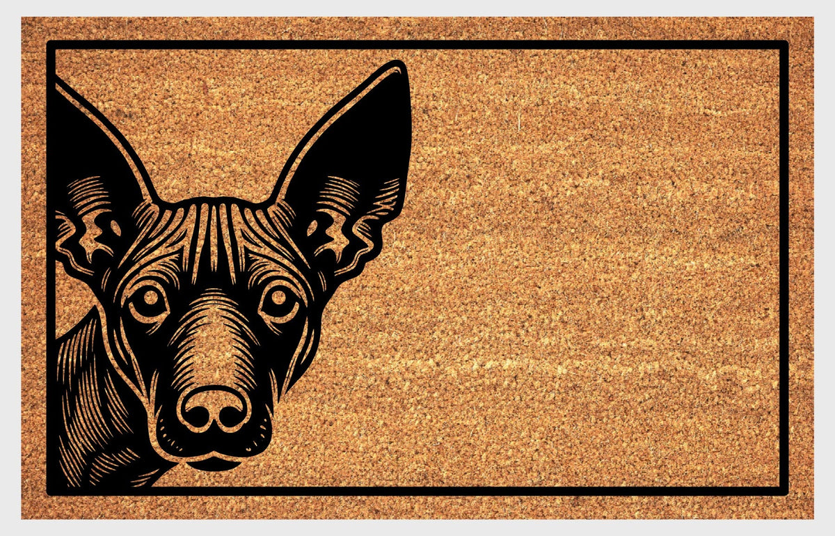 Xoloitzcuintli Collection