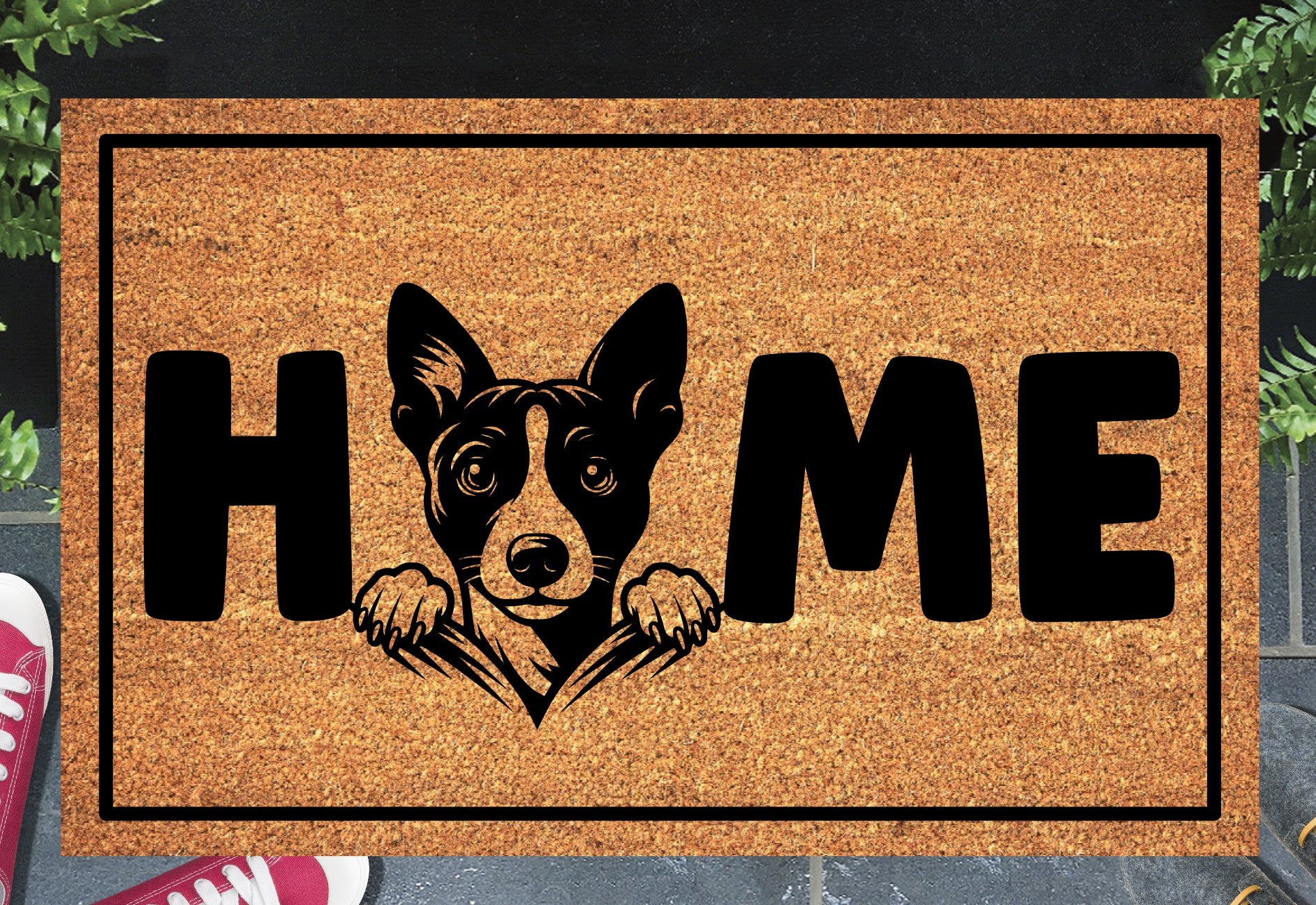 Basenji doormat #2 on front porch entryway with HOME text