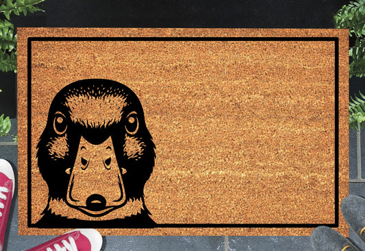Peeking mallard duck doormat #1 on front porch entryway