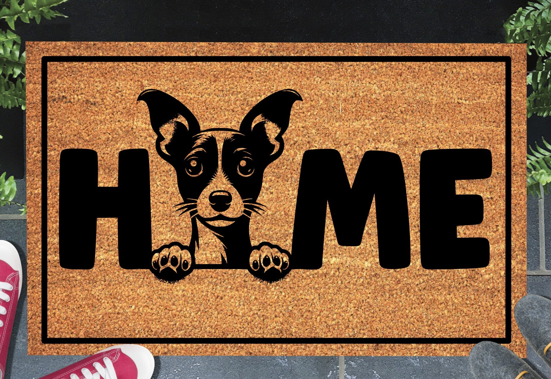 Toy Fox Terrier coir doormat with home text displayed in doorway entryway