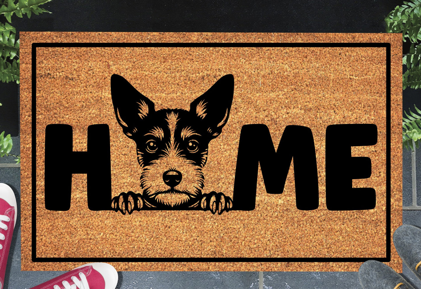 Toy Fox Terrier coir doormat with home text displayed in doorway entryway