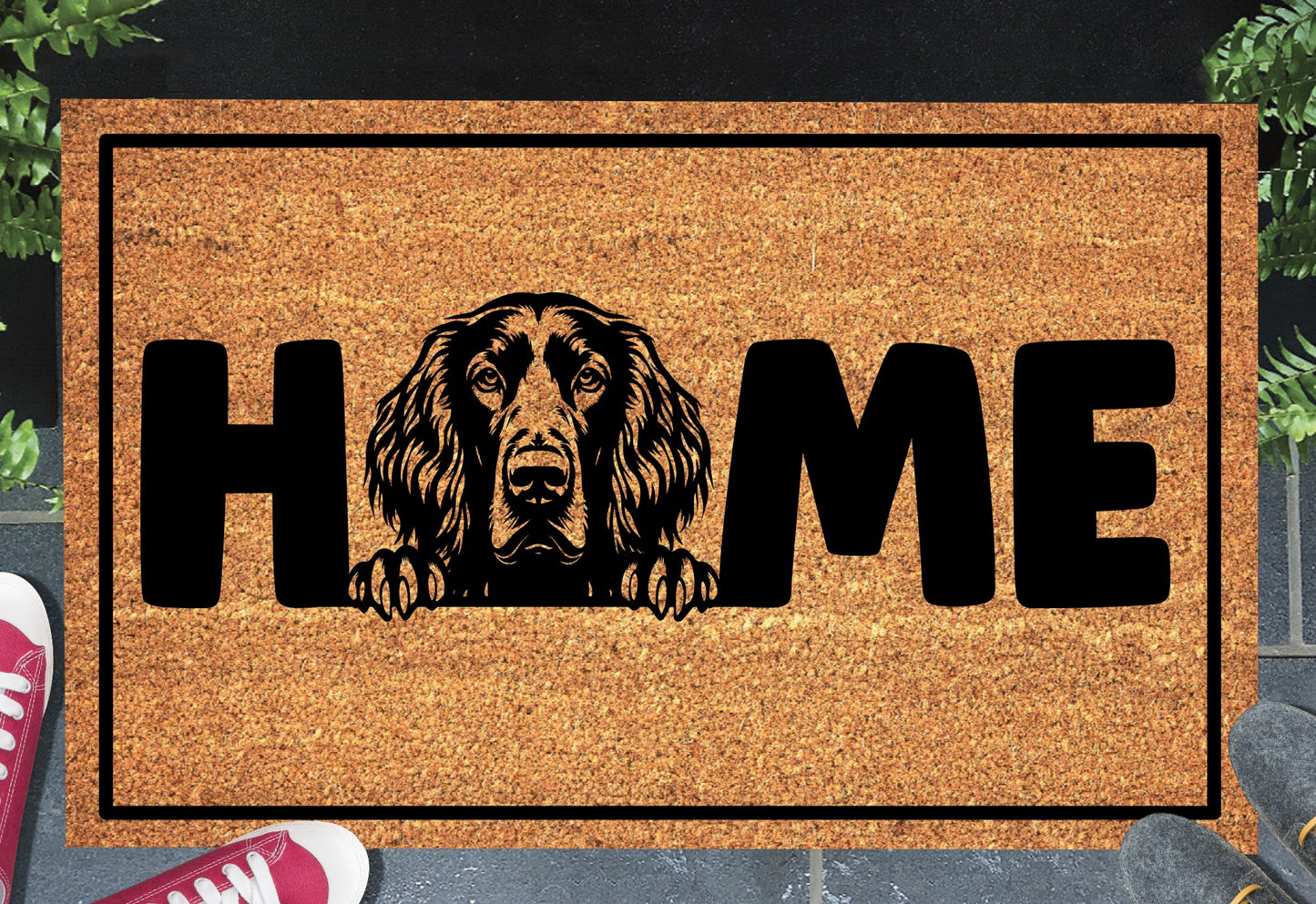 Irish Setter doormat #2 on front porch entryway