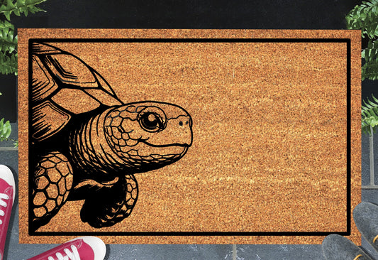 Peeking tortoise doormat #1 on front porch entryway