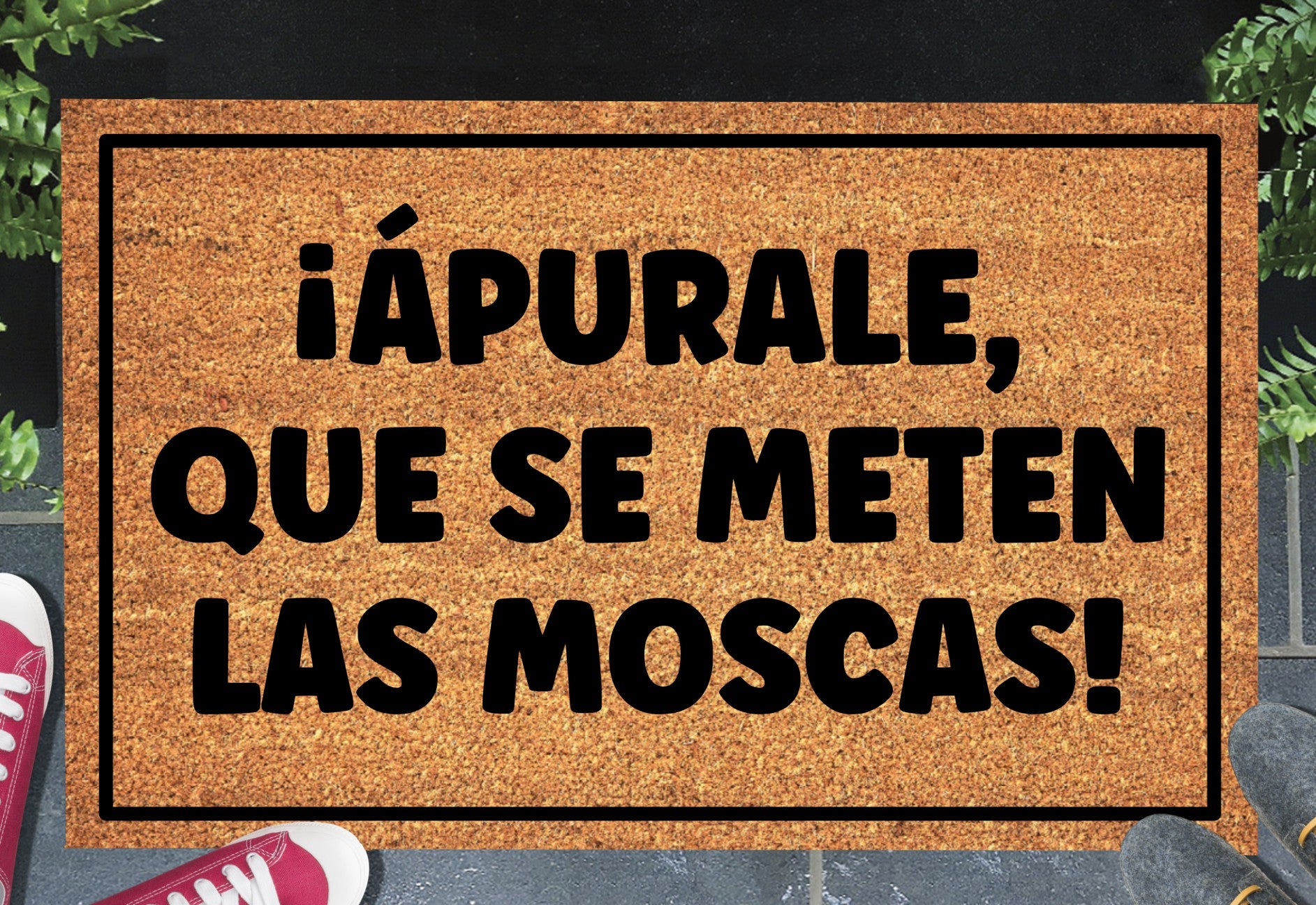 Apurale Que Se Meten Las Moscas Spanish doormat in doorway