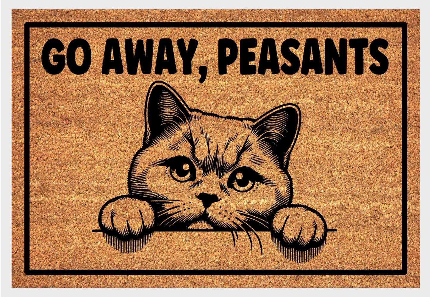 British Shorthair Cat Go Away Peasants natural coir doormat close-up