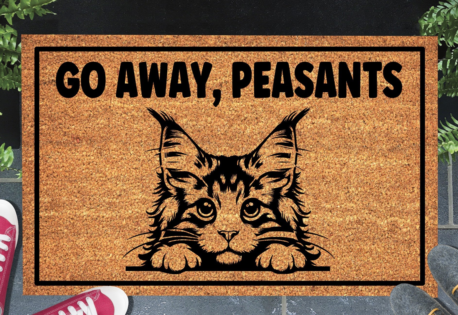 Maine Coon Cat Go Away Peasants coir doormat displayed in entryway
