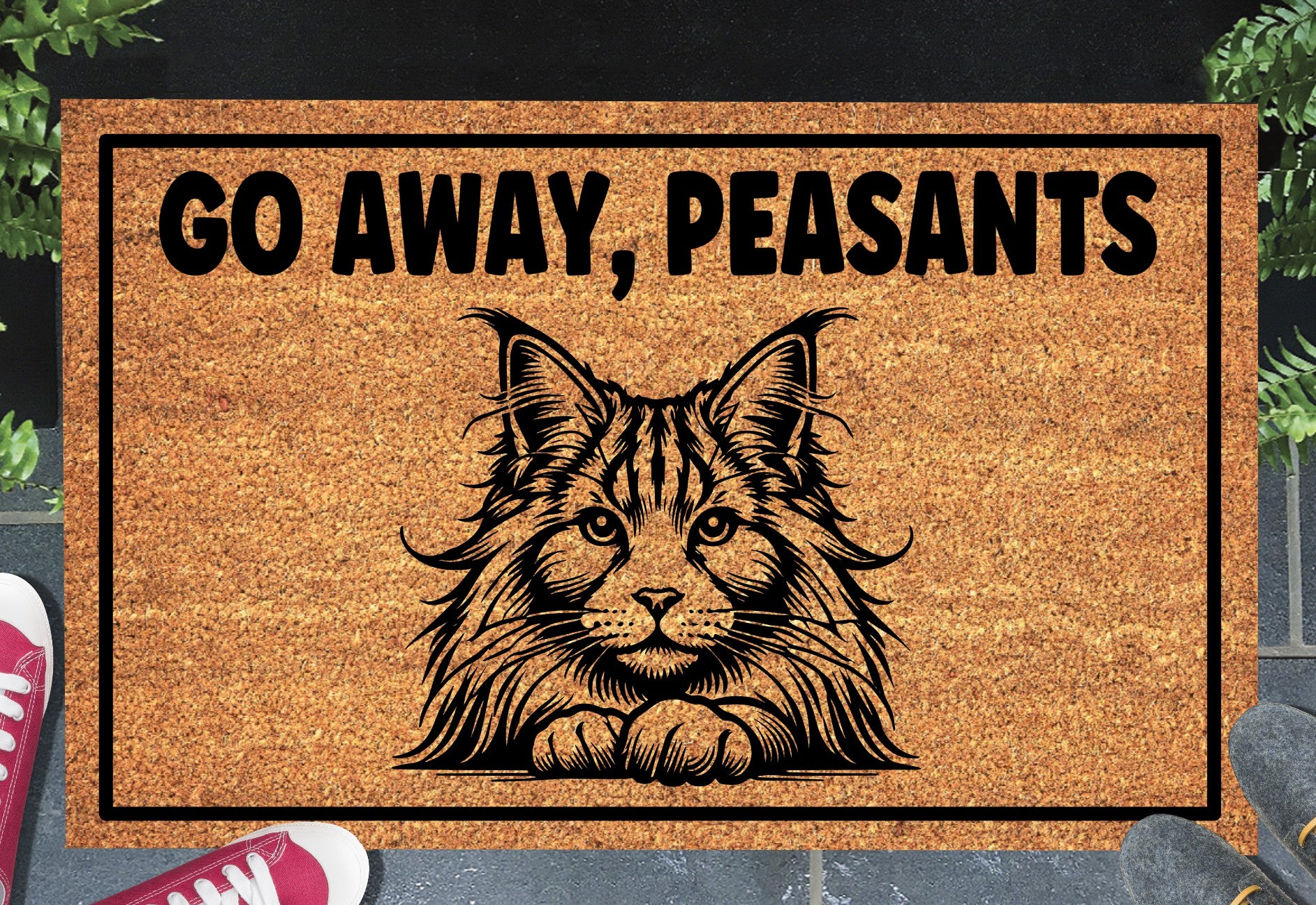 Maine Coon Cat Go Away Peasants coir doormat displayed in entryway