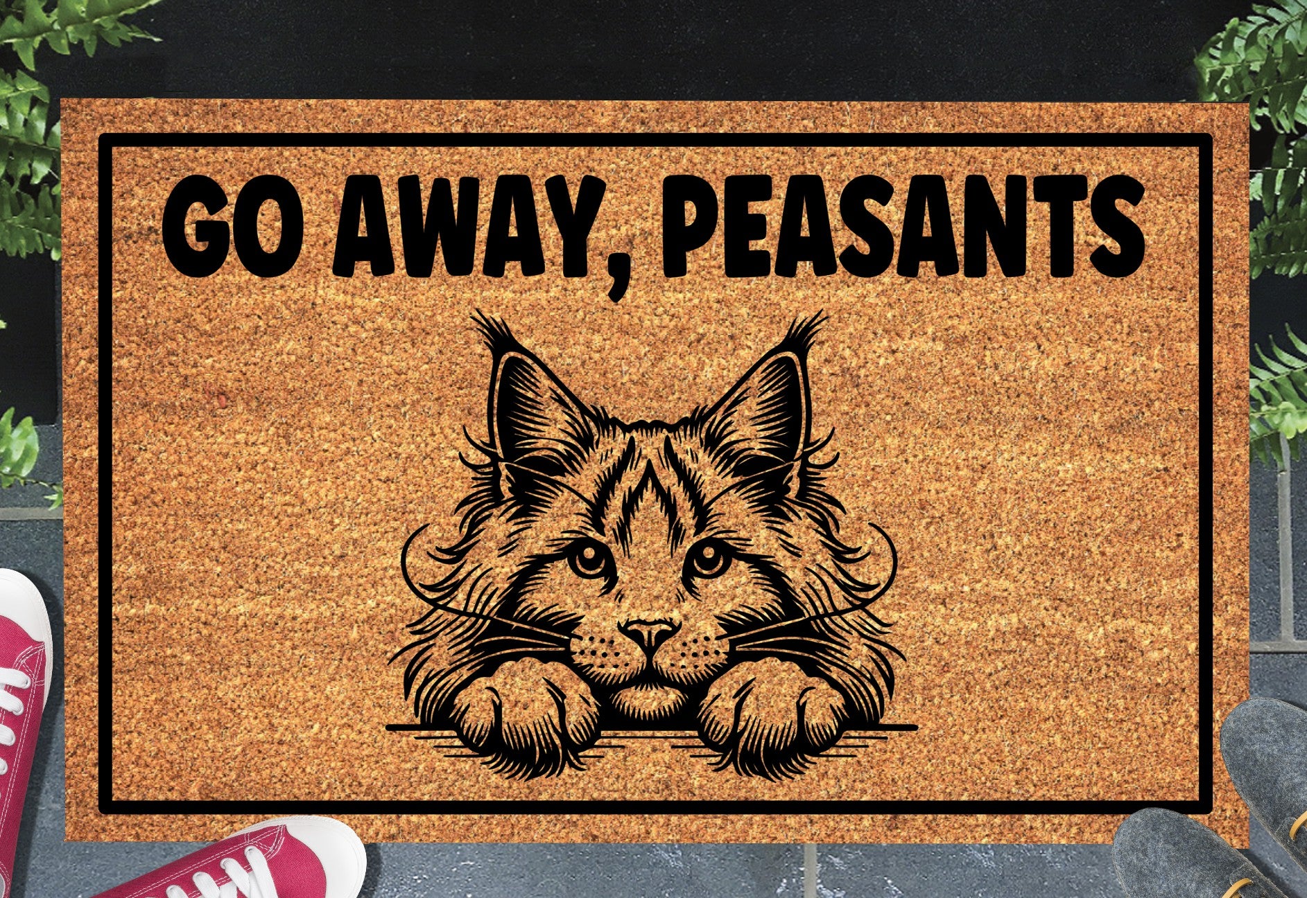 Maine Coon Cat Go Away Peasants coir doormat displayed in entryway