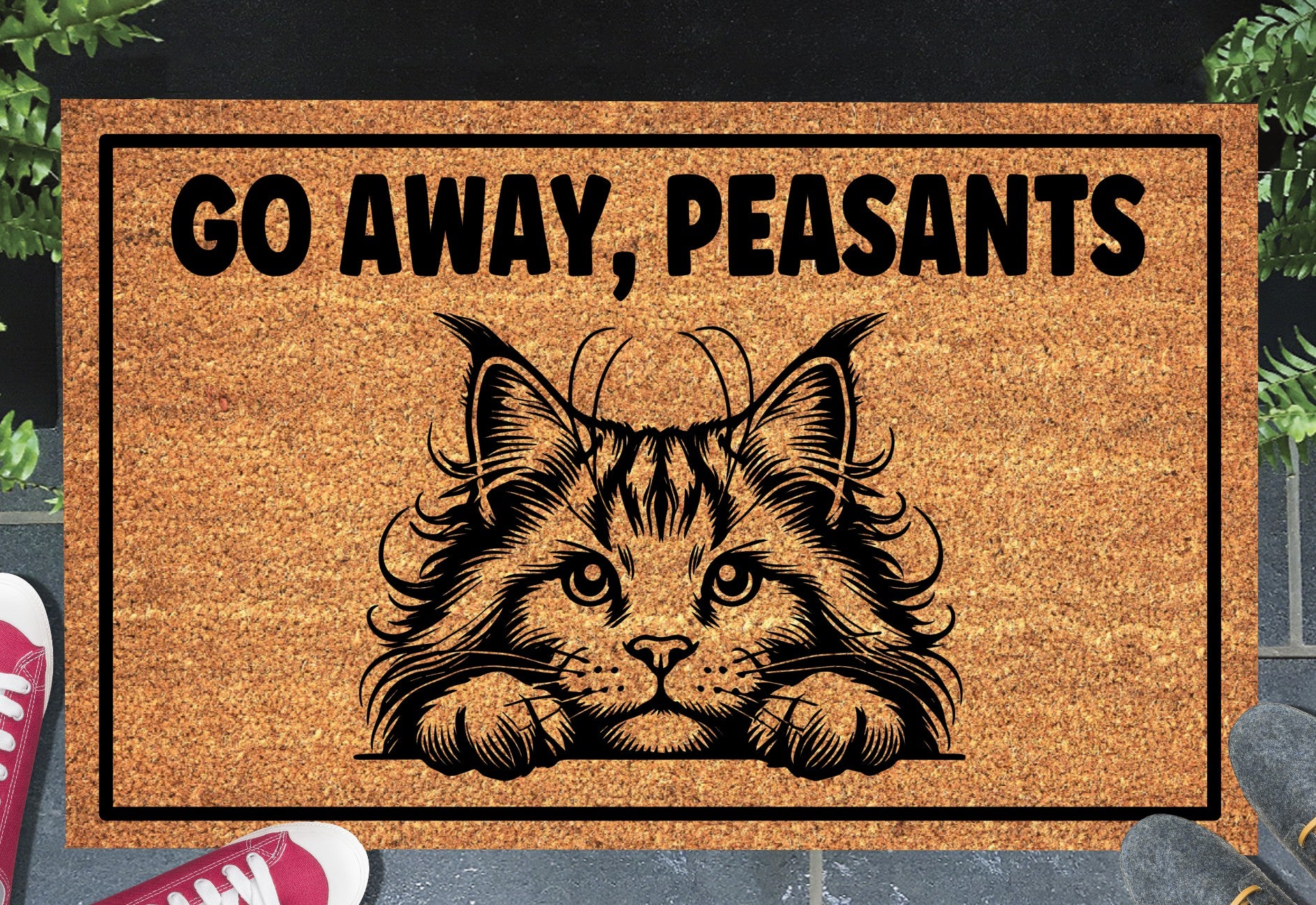 Maine Coon Cat Go Away Peasants coir doormat displayed in entryway