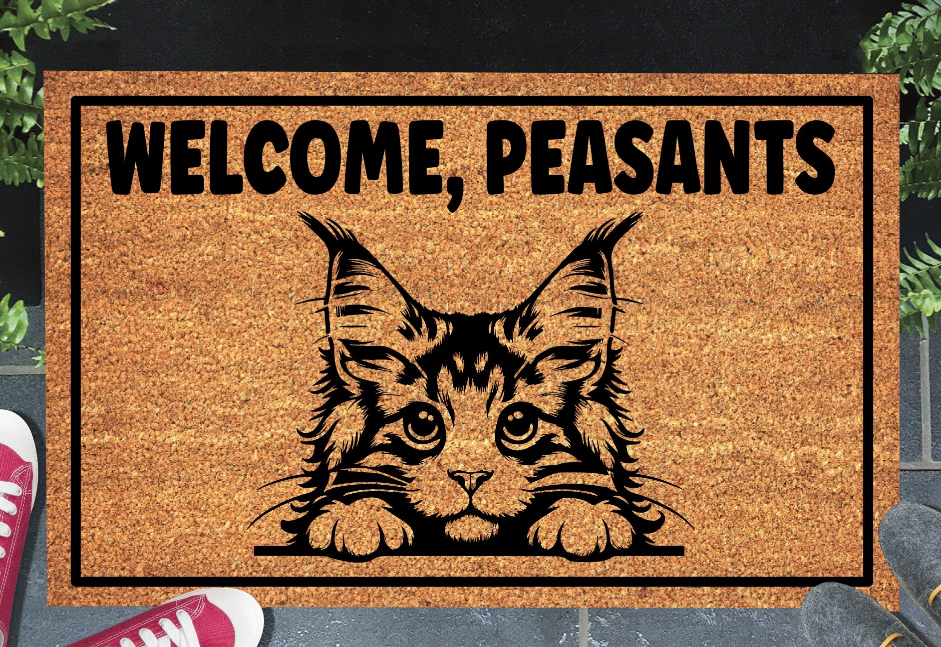 Maine Coon Cat doormat shown at front door entryway