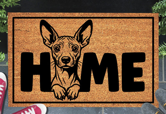 Xoloitzcuintle doormat #3 shown in a front doorway entryway setting