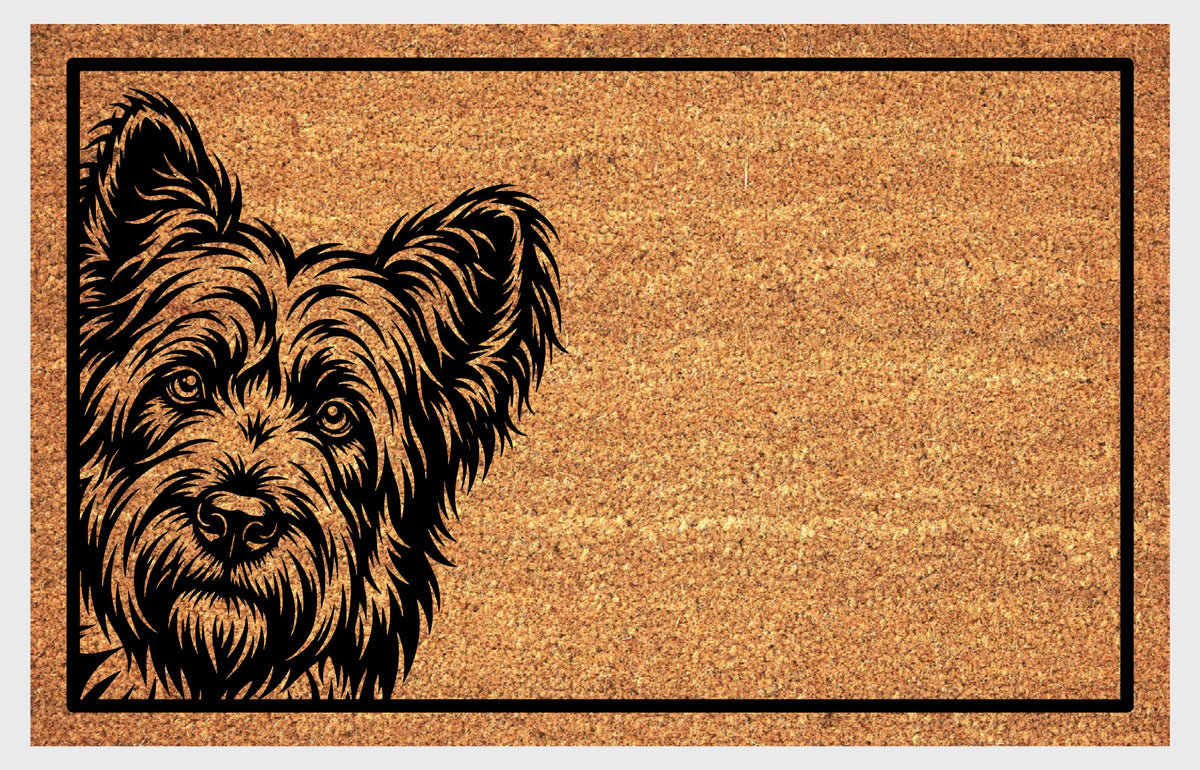 Briard Peeking coir doormat #1, front view of the bearded Berger de Brie portrait and black rectangular border on natural coir