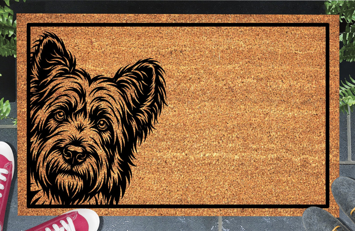 Briard Peeking coir doormat #1 with a shaggy Berger de Brie portrait at the left edge and black border, shown on a doorstep