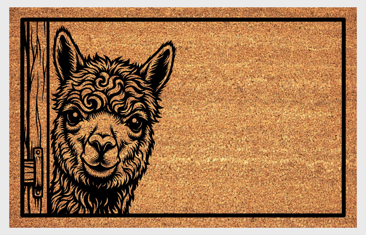 Huacaya Alpaca peeking coir doormat, front view showing upright ears, expressive eyes and a curly forelock beside a wooden door.