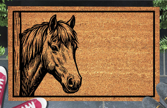 Welsh Pony peeking from the left edge beside a vertical post on a natural coir doormat, with a thick forelock and black rectangular border, shown at a doorstep.
