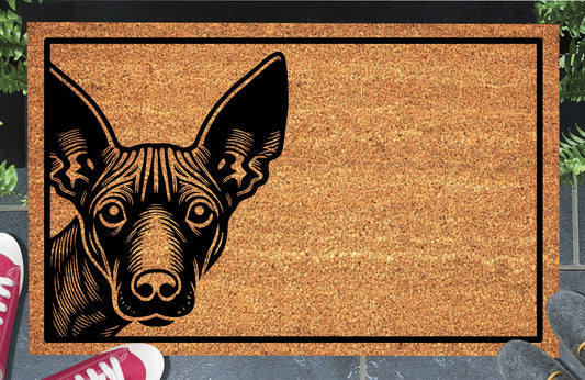 Xoloitzcuintli Doormat #1, hairless Xolo with tall upright ears peeking from the left inside a black border, natural coir mat styled at an entryway.
